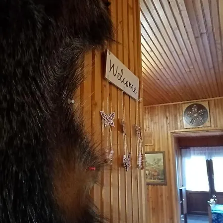 Erdei Szalonka Vendeghaz *