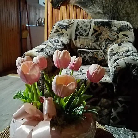 Σπίτι διακοπών Erdei Szalonka Vendeghaz Háromhuta