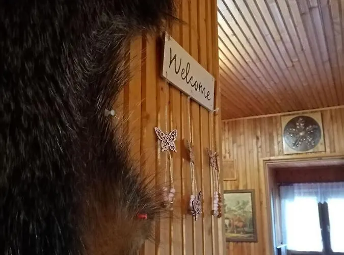 Erdei Szalonka Vendeghaz *