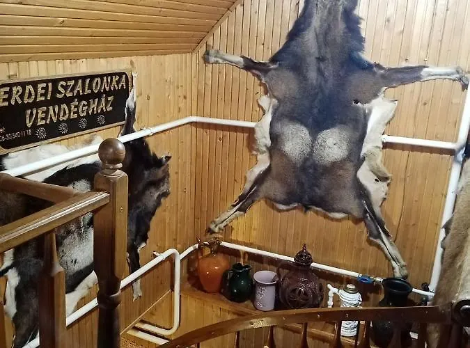 Feriehus Erdei Szalonka Vendeghaz