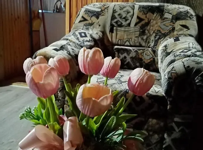 Feriehus Erdei Szalonka Vendeghaz Háromhuta